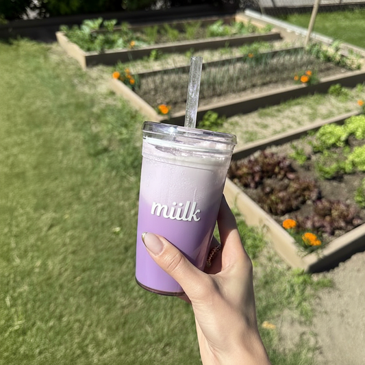 The Story of Ube: From Root to Ritual