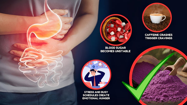 Rich In Antioxidants